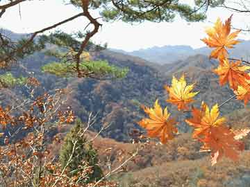 西藏日喀则4.6级地震，西藏日喀则发生4.6级地震